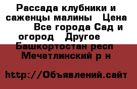 Рассада клубники и саженцы малины › Цена ­ 10 - Все города Сад и огород » Другое   . Башкортостан респ.,Мечетлинский р-н